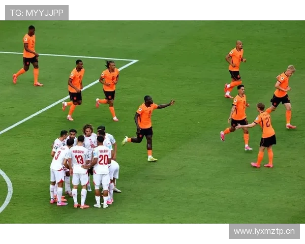 荷兰3-1突尼斯：世界杯F组末轮战报